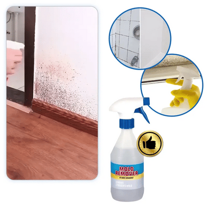 MoldGuard – Rimuovi Muffa e Spray Protettivo