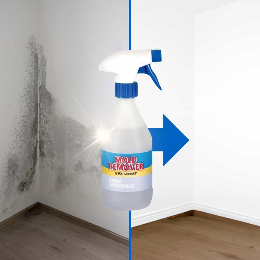 MoldGuard – Rimuovi Muffa e Spray Protettivo