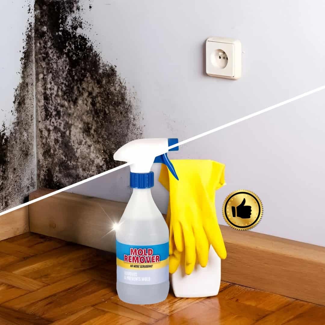 MoldGuard – Rimuovi Muffa e Spray Protettivo