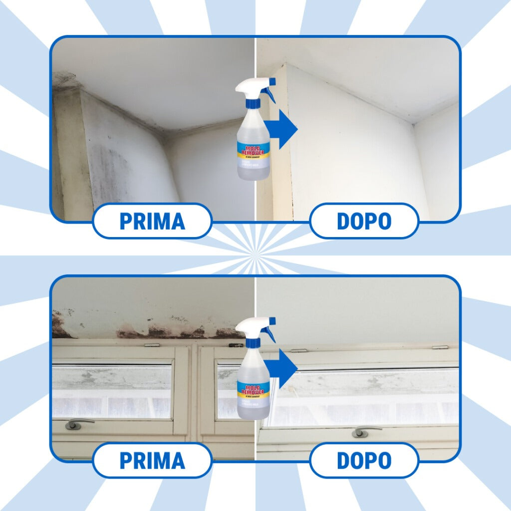 MoldGuard – Rimuovi Muffa e Spray Protettivo