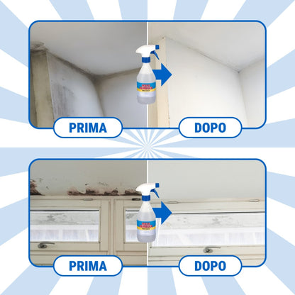 MoldGuard – Rimuovi Muffa e Spray Protettivo