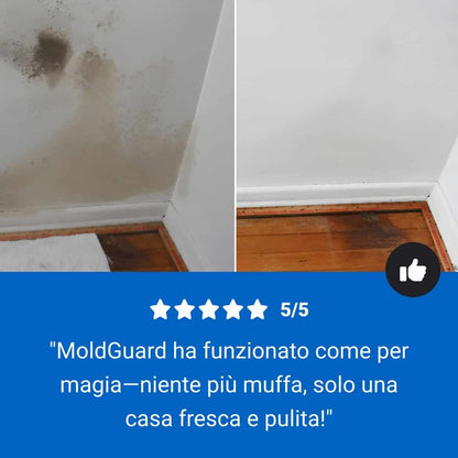 MoldGuard – Rimuovi Muffa e Spray Protettivo